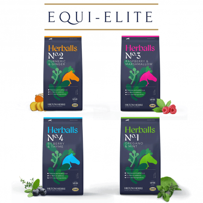 Hilton Herbs Herballs Horse & Pony Treats - Various Flavors