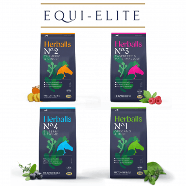 Herballs Horse & Pony Treats - Various Flavors