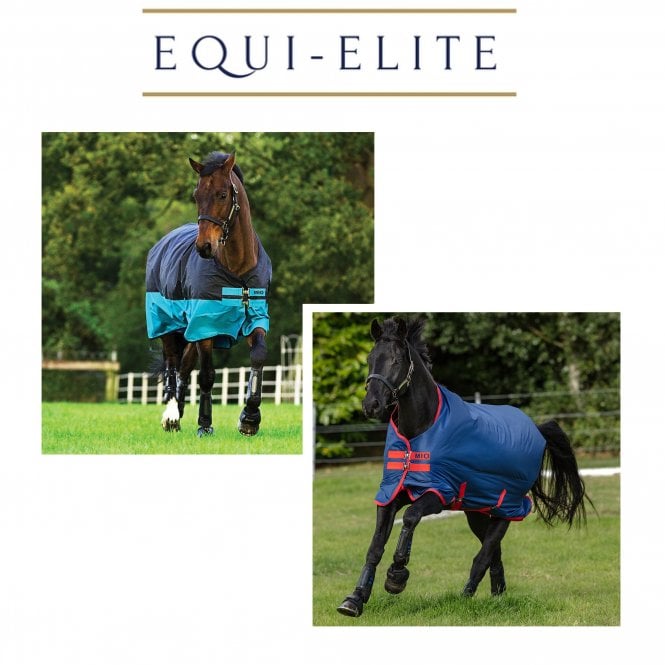Horseware Ireland Amigo Mio Turnout Rug - Medium 200g