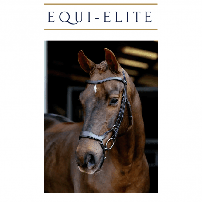LeMieux Arika Anatomic Drop Bridle