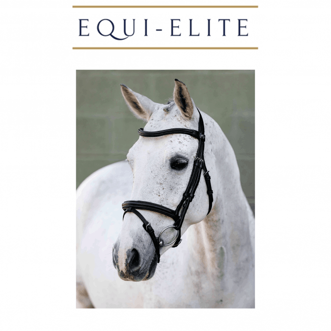 LeMieux Arika Anatomic Flash Bridle