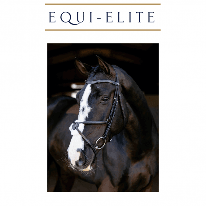 LeMieux Arika Anatomic Grackle Bridle