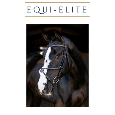 Arika Anatomic Grackle Bridle