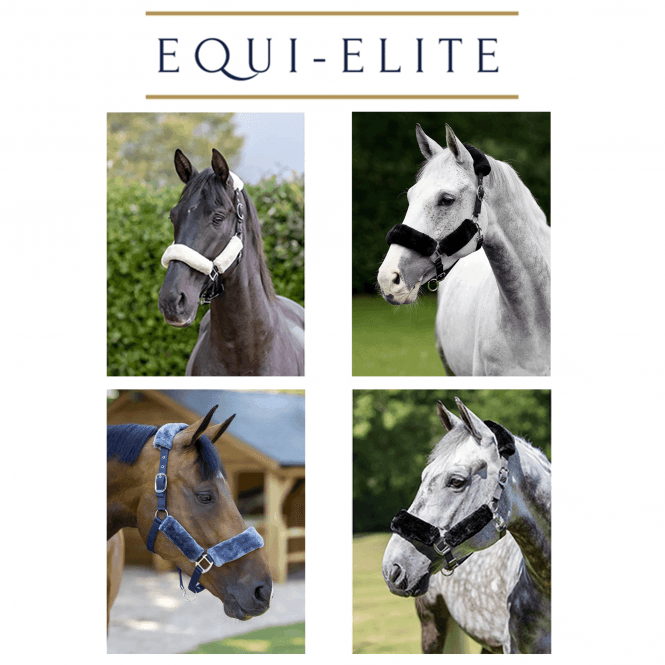 LeMieux Comfort Headcollar