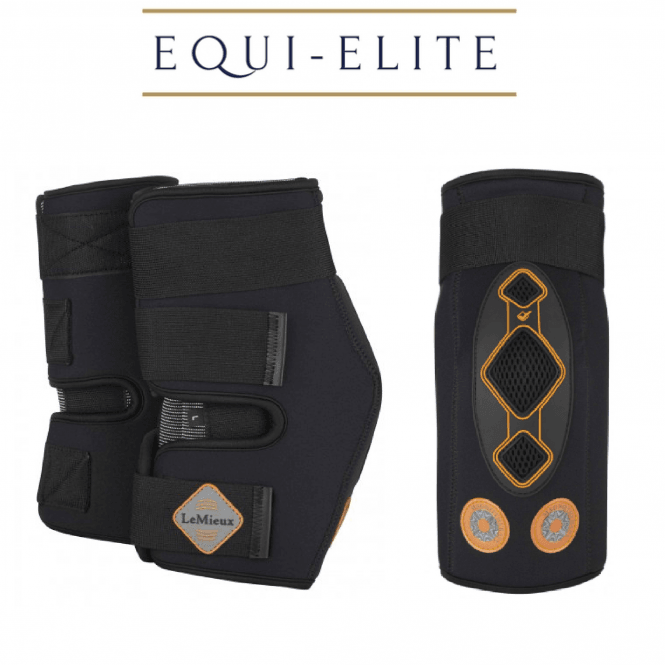LeMieux Conductive Magno Therapy Hock Boots