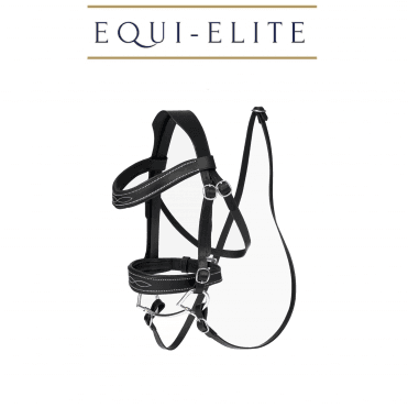 Hobby Horse Competition Bridle
