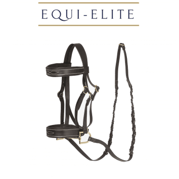 Hobby Horse Hunter Bridle 