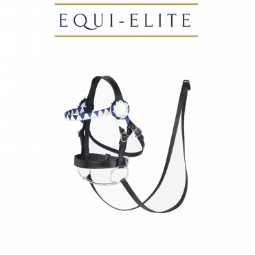 Hobby Horse Showing Bridle