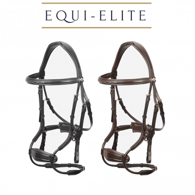 LeMieux Kudos Clear Arc Bridle