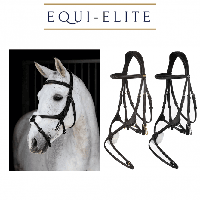LeMieux Kudos Grackle Work Bridle