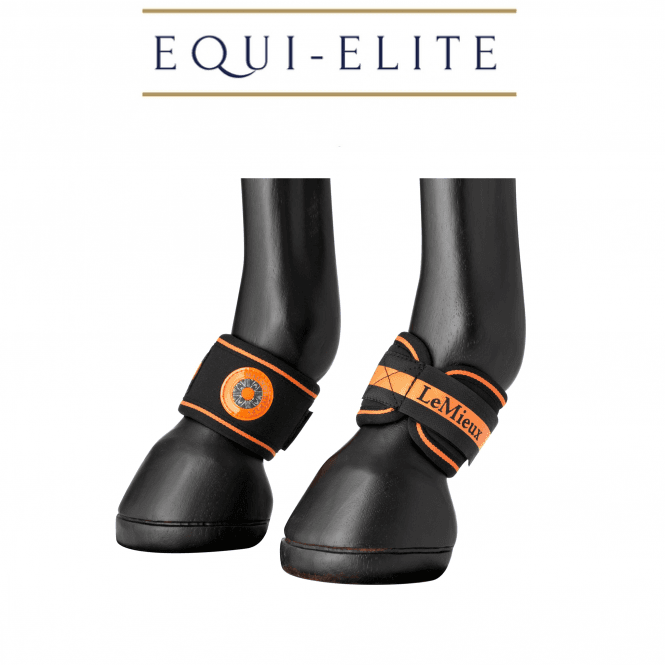 LeMieux Magno Pastern Wrap