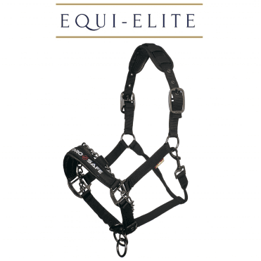 ProSafe Controller Headcollar