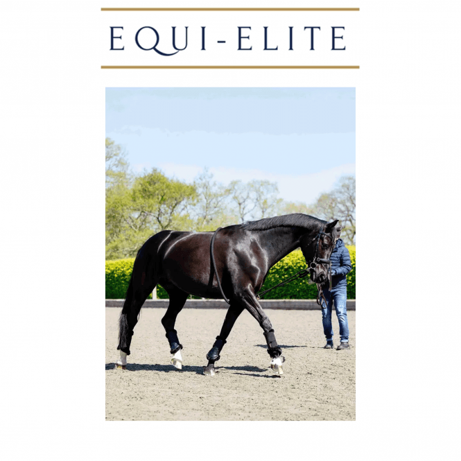 LeMieux Rope Lunging Aid 