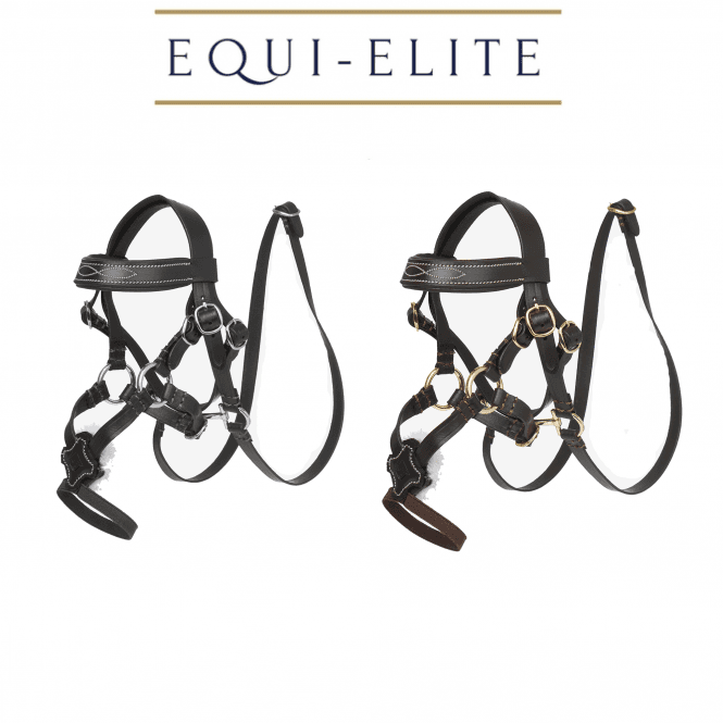 LeMieux Toy Pony Grackle Bridle