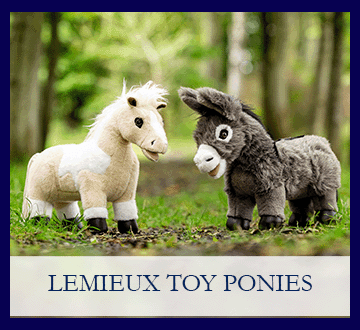 Toy Ponies