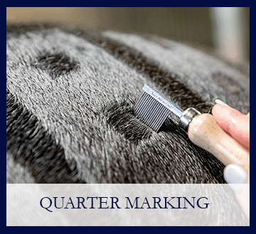 Quarter Marking