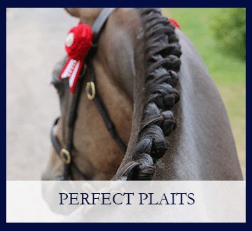 Perfect Plaits
