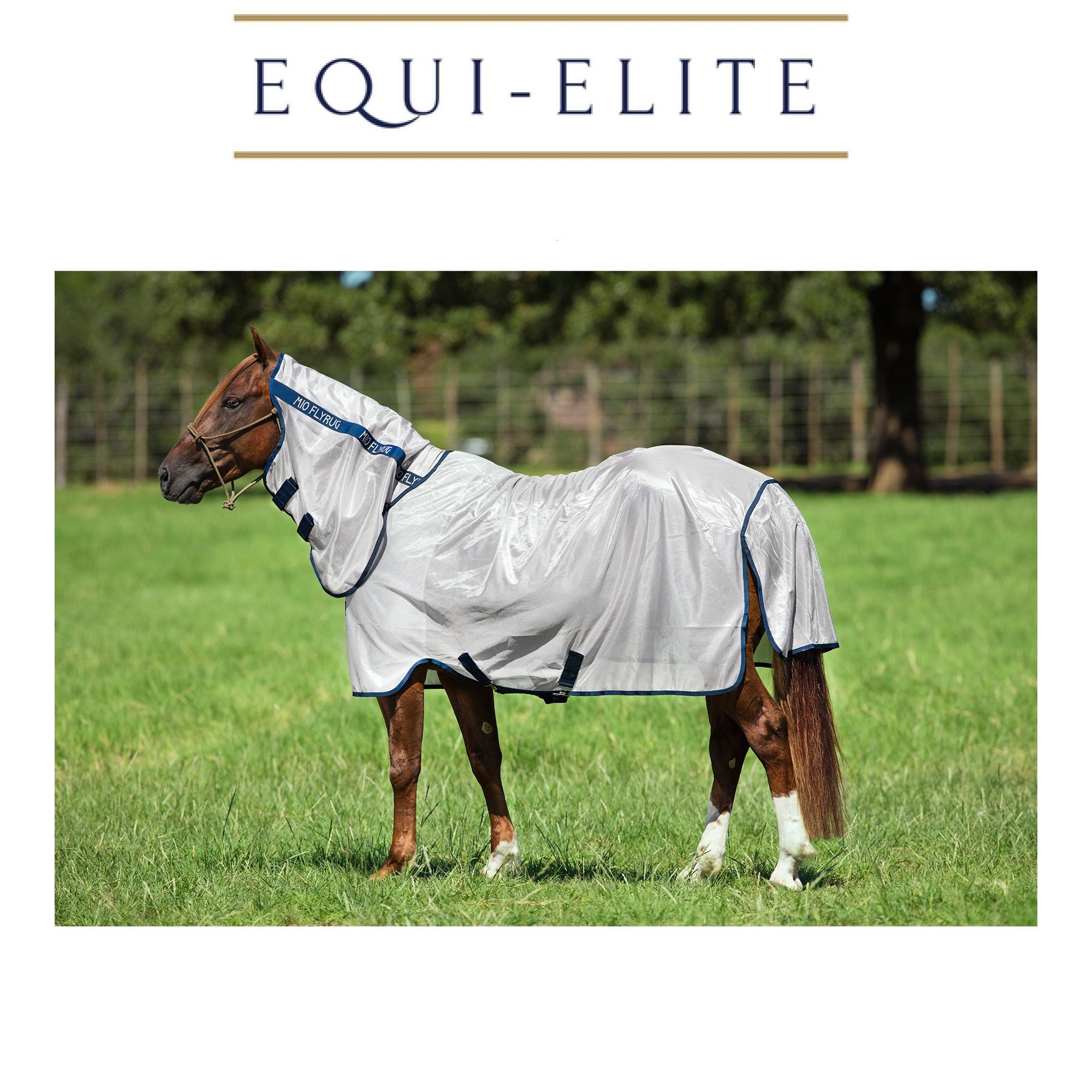 Horseware Amigo Mio Fly Rug - Full Neck Fly Rug Sheet | eBay