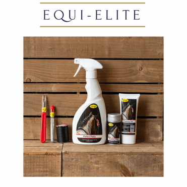 Deluxe Plaiting Bundle with Waxed Thread 