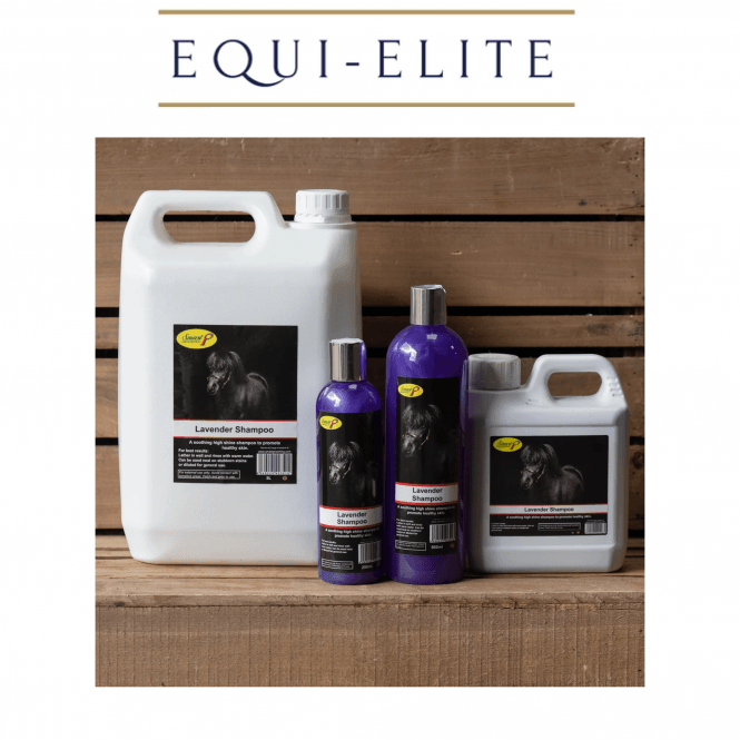 Smart Grooming Lavender Shampoo
