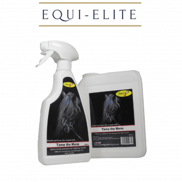 Tame the Mane - Conditioner & Detangler