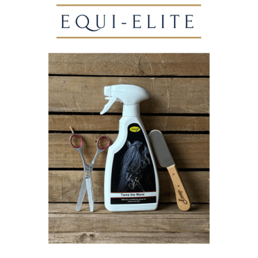 Tame the Mane, Pro Levelling Knife & Double Leg Thinning Scissors